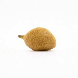 Moon Rock CBN