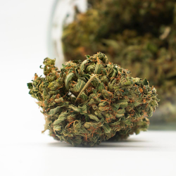 Cannatonic Greenhouse HHC