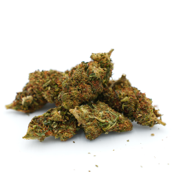 Gelato HHC
