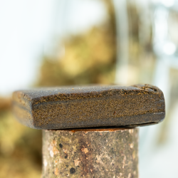 Hash H4CBD + CBN