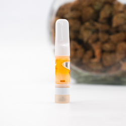 Amnésia 95% H4CBD CBN